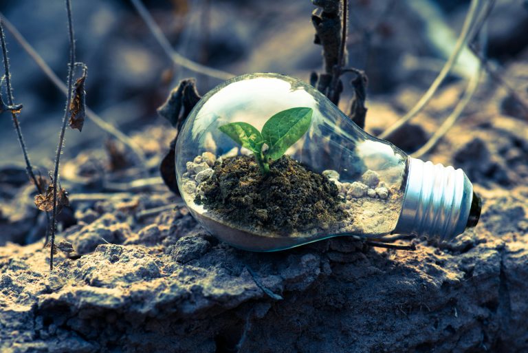 Leia mais sobre o artigo Investindo com sustentabilidade: como o ESG está remodelando o mercado financeiro global